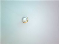 Einzelner Ohrring Studex in Stahl Perla 7521-0675